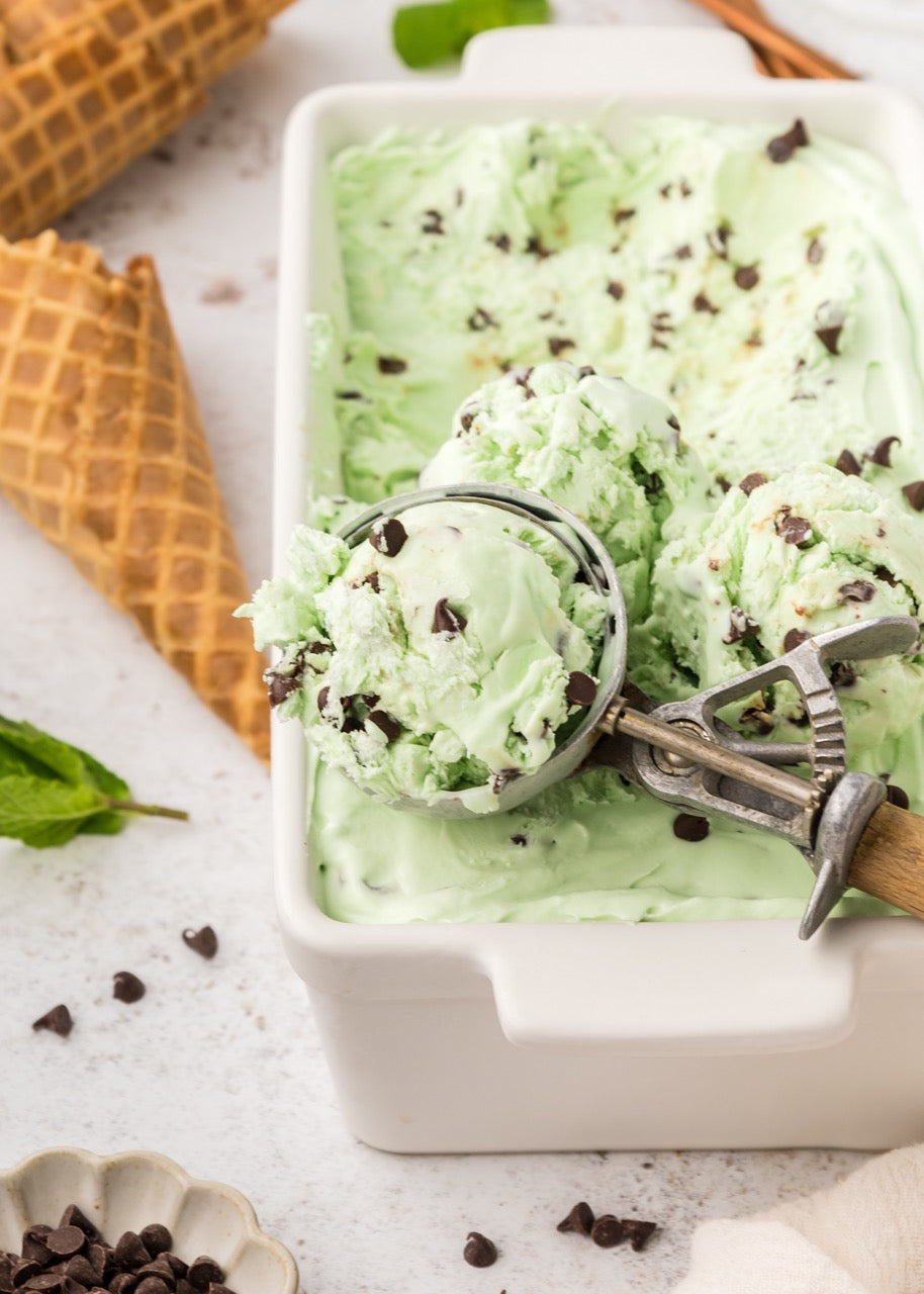 Mint Chip Ice Cream