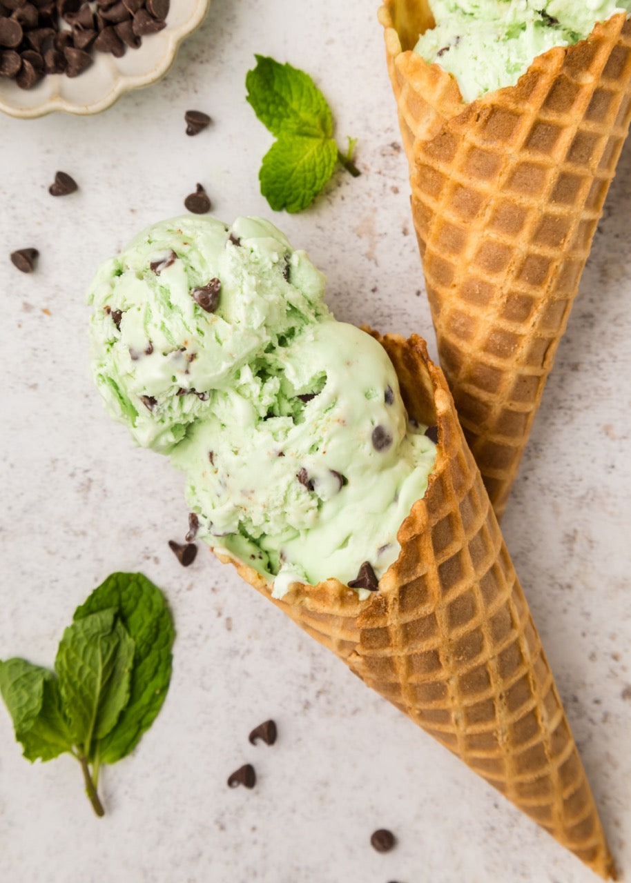 Mint Chip Ice Cream