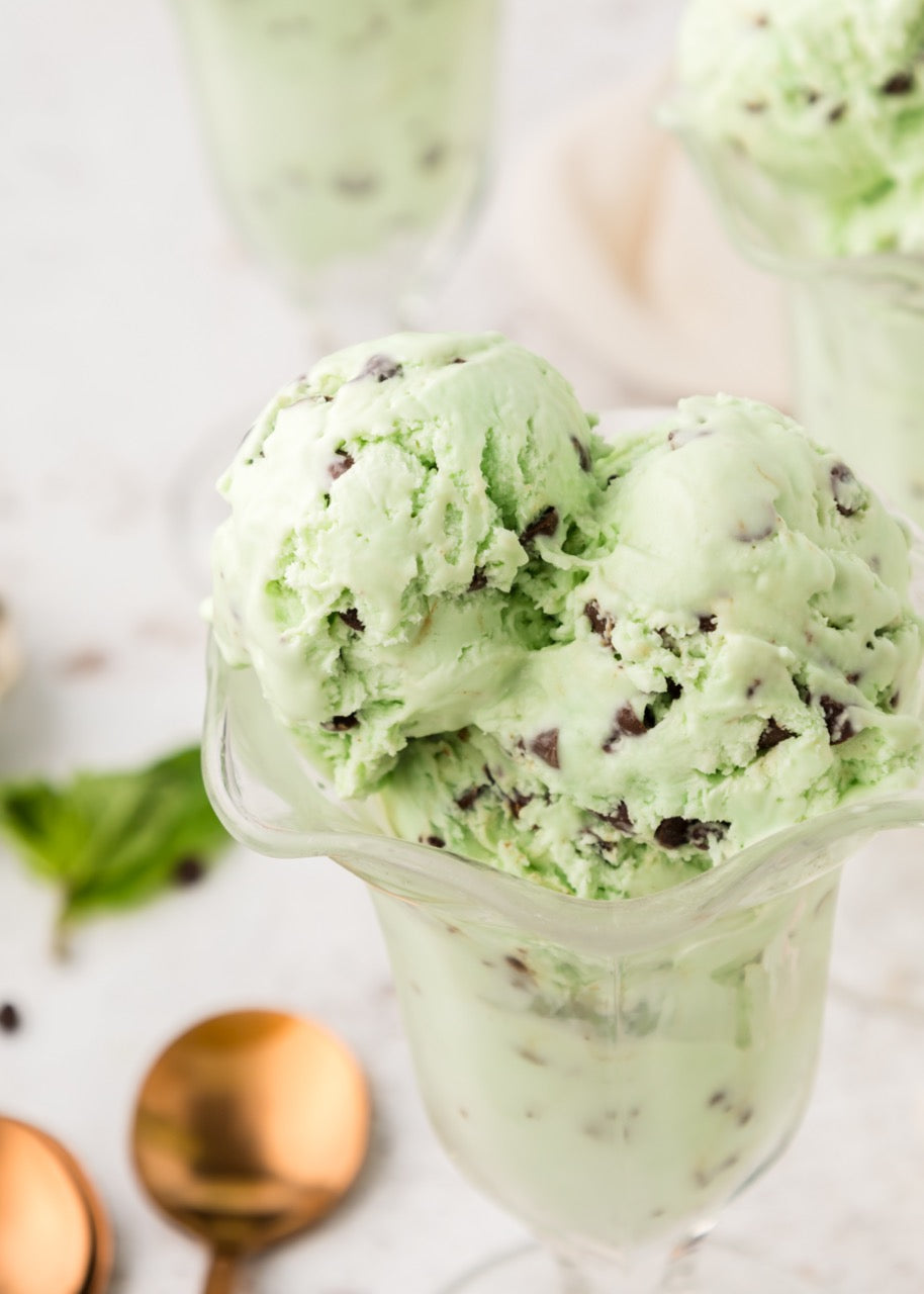 Mint Chip Ice Cream