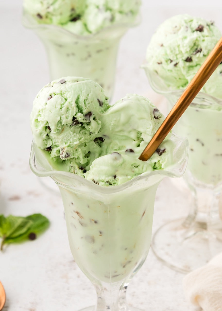 Mint Chip Ice Cream