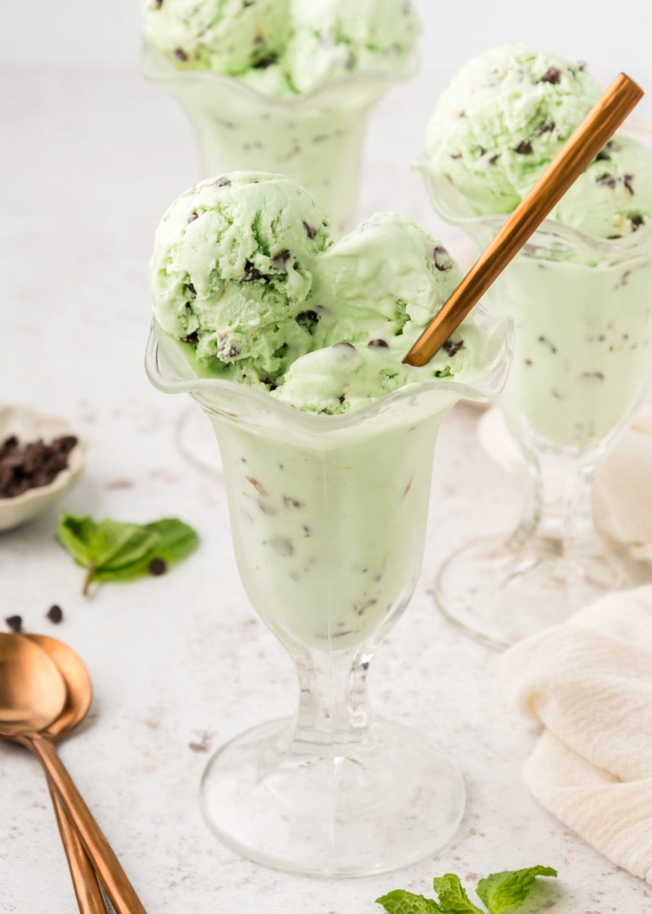 Mint Chip Ice Cream