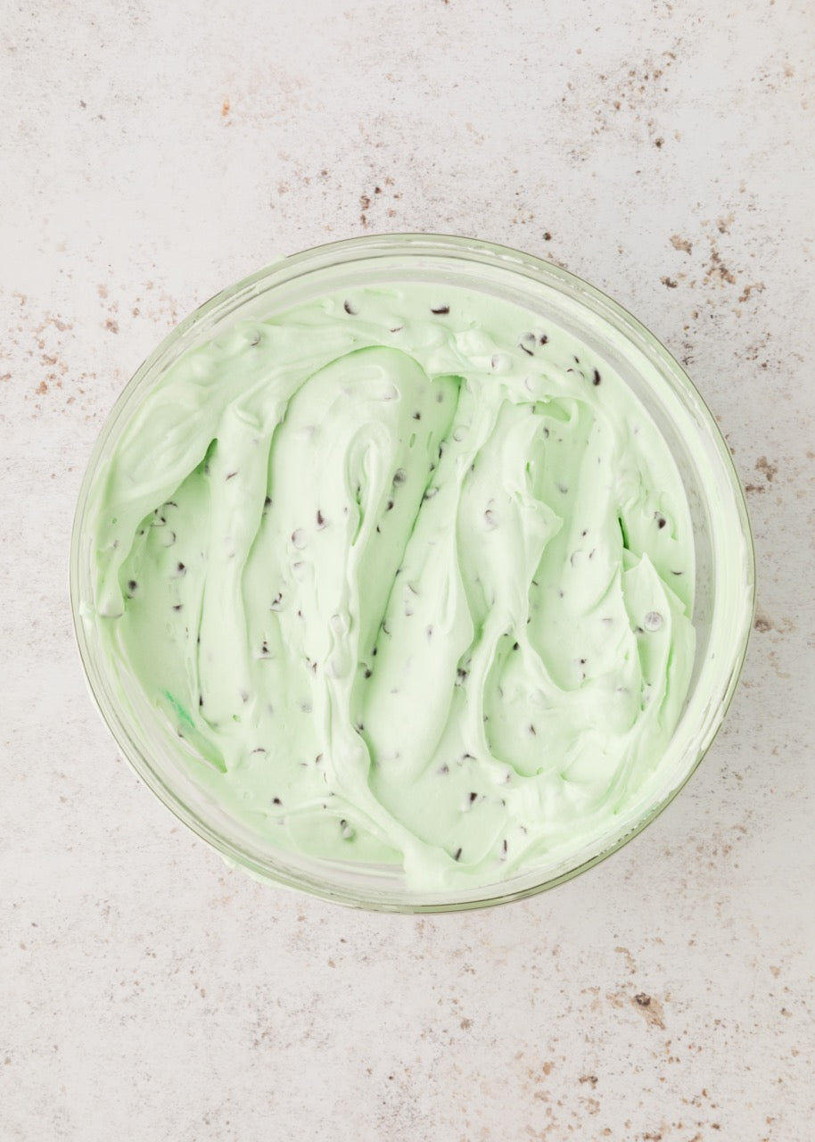 Mint Chip Ice Cream