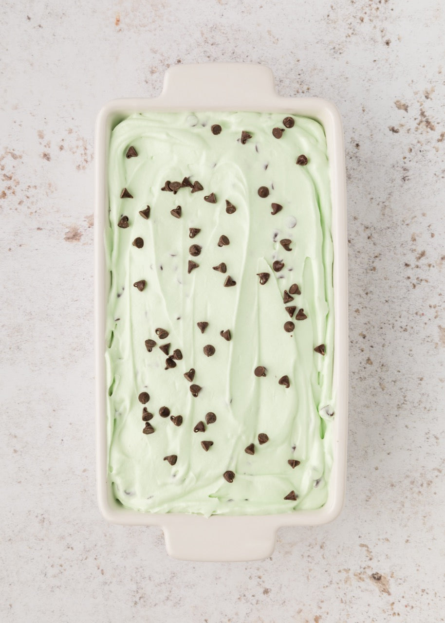 Mint Chip Ice Cream